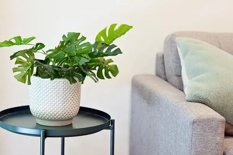 Fifth view of Homely apartment listing, 9/15 Major Street, Highett VIC 3190
