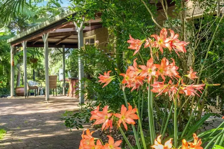 Second view of Homely rural property listing, 81 Doon Doon Road, Kunghur NSW 2484