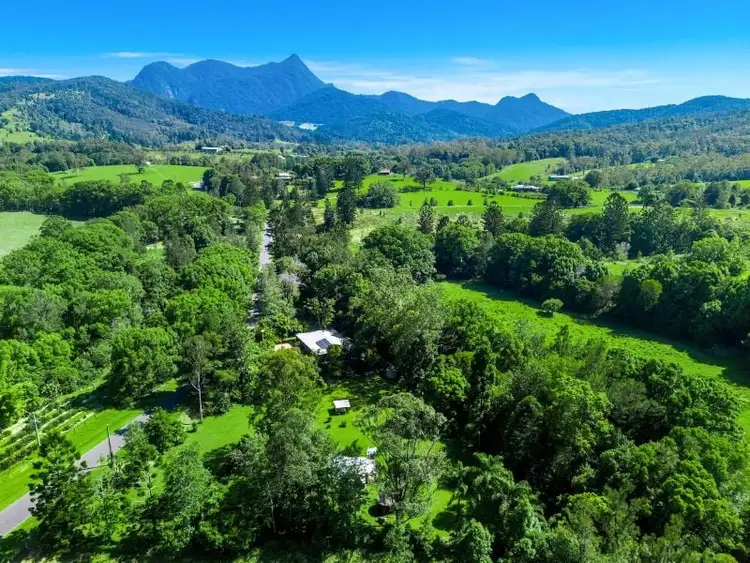 Fourth view of Homely rural property listing, 81 Doon Doon Road, Kunghur NSW 2484