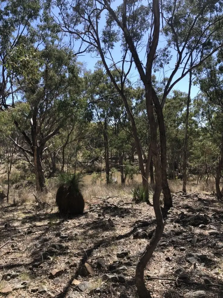 Third view of Homely rural property listing, 943 Gulf Road, Emmaville NSW 2371