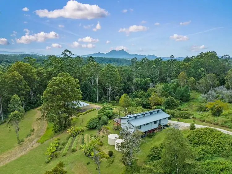 Fifth view of Homely house listing, 3850 Kyogle Road, Mount Burrell NSW 2484