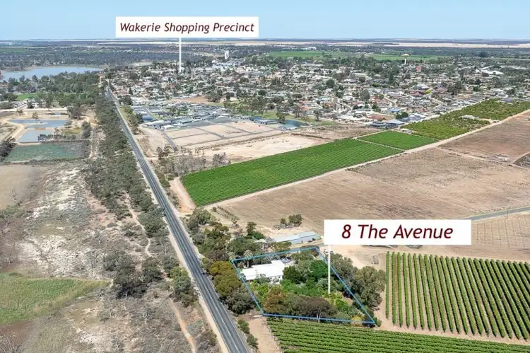 Fourth view of Homely rural property listing, 8 The Avenue, Waikerie SA 5330