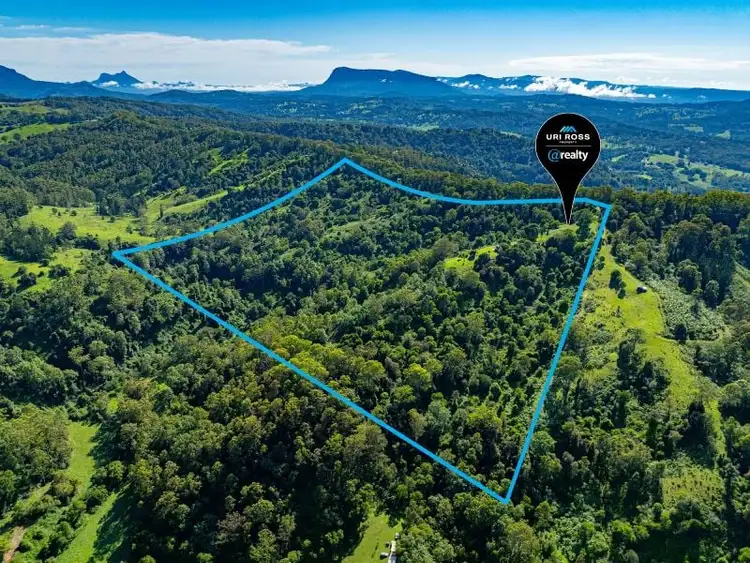 121 Sargents Road, Cawongla NSW 2474