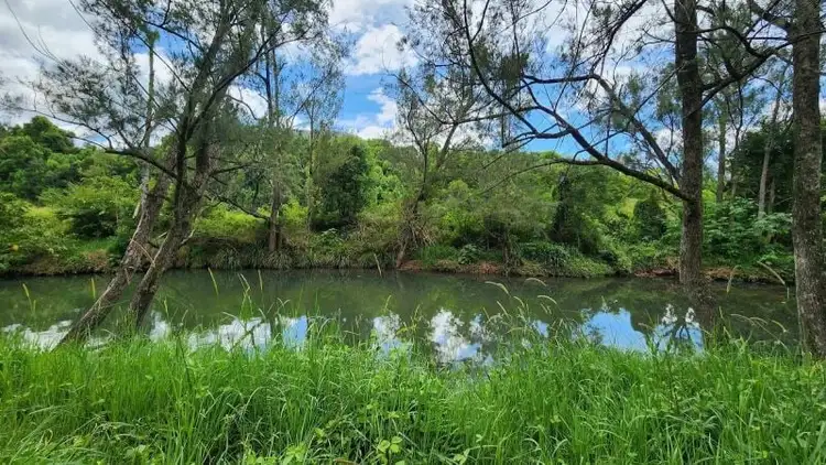 Third view of Homely rural property listing, 248 Tyalgum Creek Road, Tyalgum Creek NSW 2484