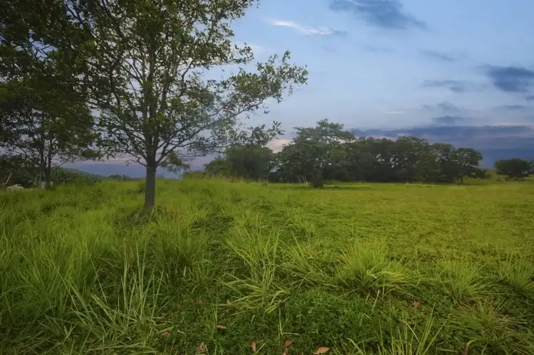 Fourth view of Homely land listing, 48 Hill End Road, Lower Cowley QLD 4871