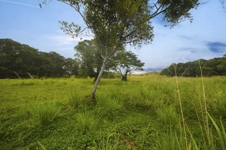Fifth view of Homely land listing, 48 Hill End Road, Lower Cowley QLD 4871