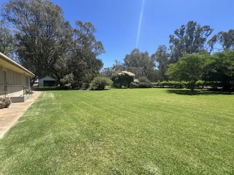 Sixth view of Homely rural property listing, 3739 Lachlan River Road, Hillston NSW 2675