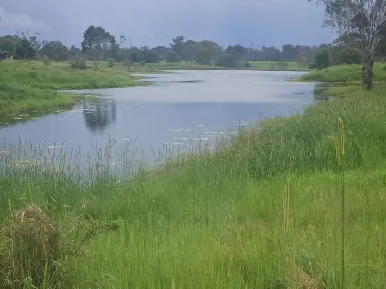 Third view of Homely rural property listing, 370 Eatonvale Road, Tinana QLD 4650