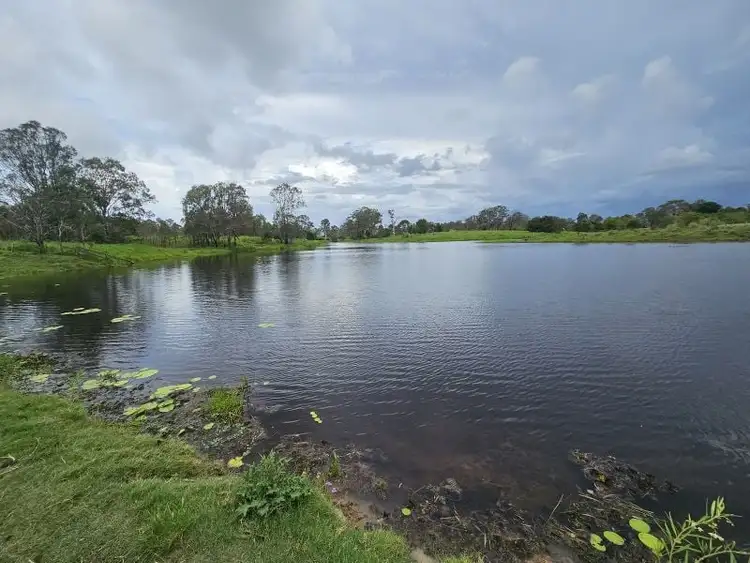 Fourth view of Homely rural property listing, 370 Eatonvale Road, Tinana QLD 4650