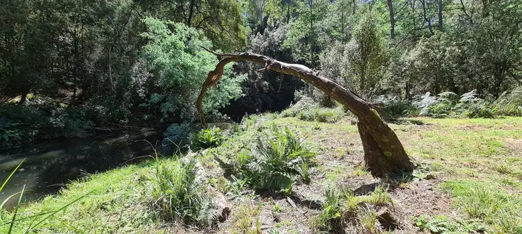 Lot 3 Mole Creek Road, Needles TAS 7304