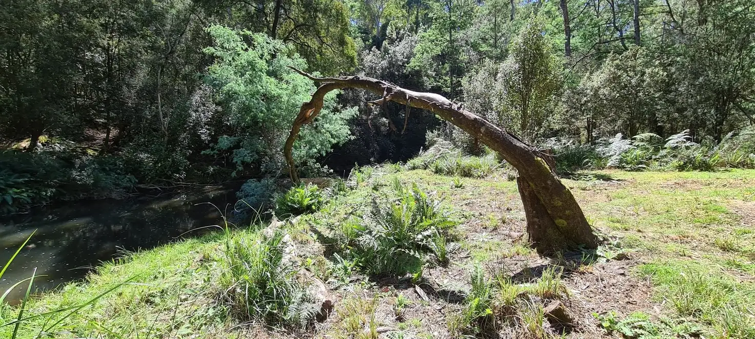 Main view of Homely land listing, Lot 3 Mole Creek Road, Needles TAS 7304