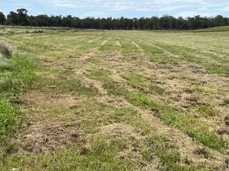 Second view of Homely rural property listing, Proposed Lot 3 Cactus Ridge Road, Cunningham QLD 4370