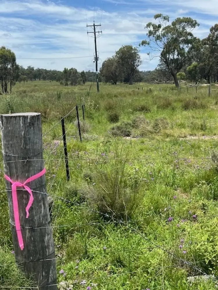 Fifth view of Homely rural property listing, Proposed Lot 3 Cactus Ridge Road, Cunningham QLD 4370