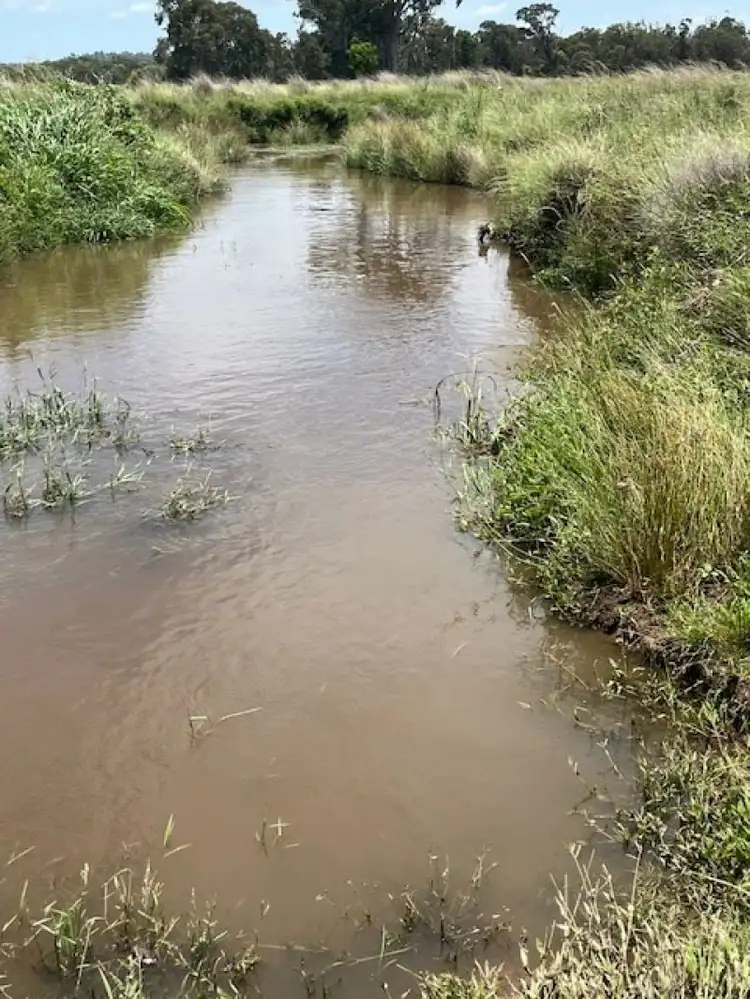 Sixth view of Homely rural property listing, Proposed Lot 3 Cactus Ridge Road, Cunningham QLD 4370