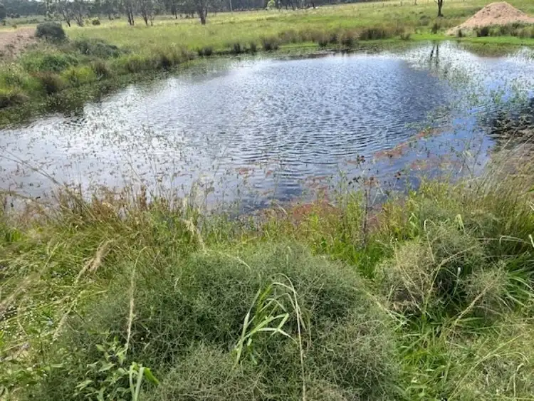 Seventh view of Homely rural property listing, Proposed Lot 3 Cactus Ridge Road, Cunningham QLD 4370