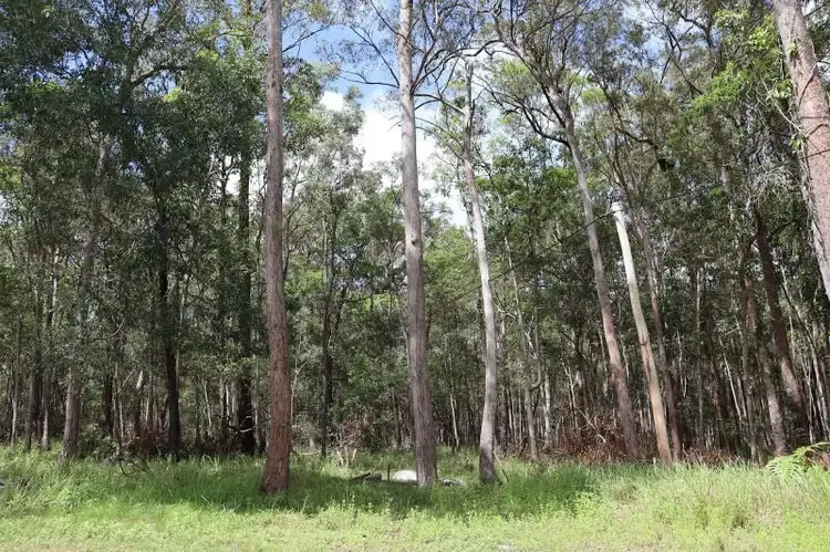 Second view of Homely rural property listing, 42 Hogan Road, Downsfield QLD 4570