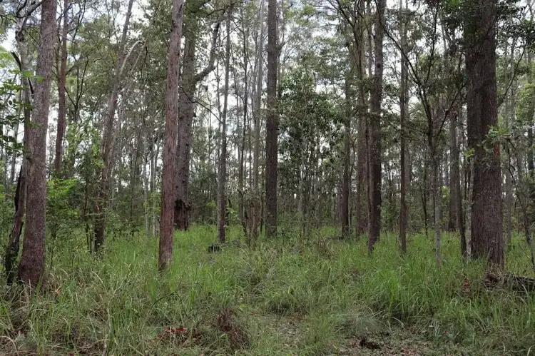 Third view of Homely rural property listing, 42 Hogan Road, Downsfield QLD 4570