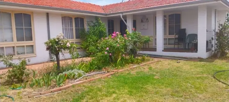 20 Magill Street, Australind WA 6233