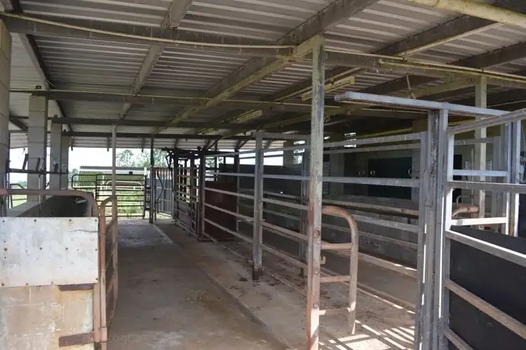 Second view of Homely rural property listing, 659 Middlebrook Road, Millaa Millaa QLD 4886