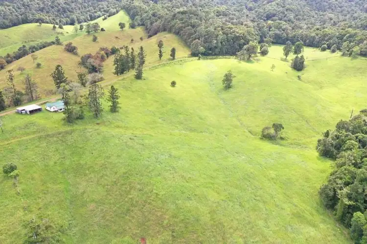 Third view of Homely rural property listing, 659 Middlebrook Road, Millaa Millaa QLD 4886