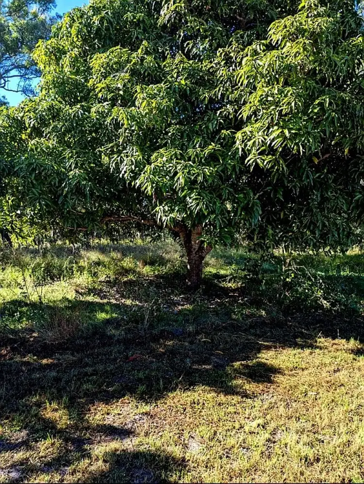 Fourth view of Homely rural property listing, Address available on request