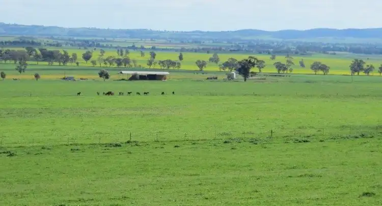 Seventh view of Homely rural property listing, Address available on request