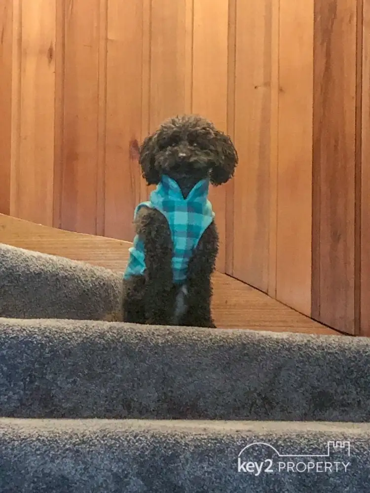 Second view of Homely house listing, 468 West Tamar Road, Riverside TAS 7250