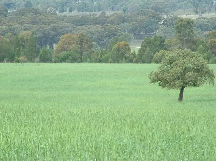 Fifth view of Homely rural property listing, 325 Toorawandi Road, Ulamambri NSW 2357