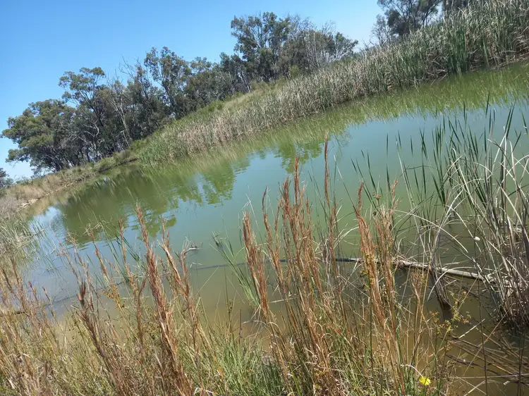 Sixth view of Homely rural property listing, 325 Toorawandi Road, Ulamambri NSW 2357