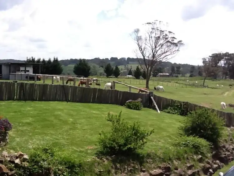 Fourth view of Homely rural property listing, 100 Pretty Valley Road, Pinkett NSW 2370