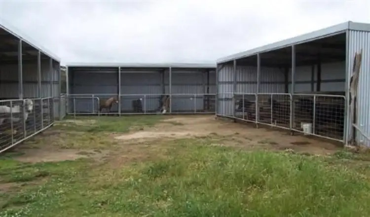Seventh view of Homely rural property listing, 100 Pretty Valley Road, Pinkett NSW 2370
