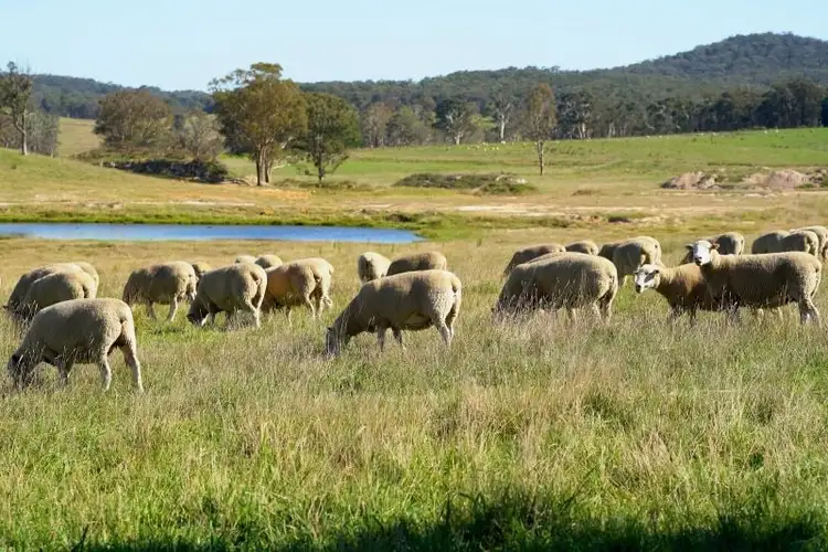 Third view of Homely rural property listing, 16323 Hume Highway, Marulan NSW 2579
