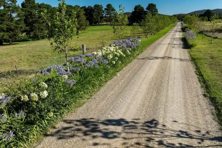 Sixth view of Homely rural property listing, 16323 Hume Highway, Marulan NSW 2579