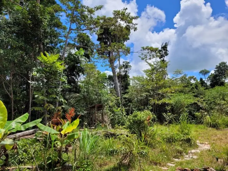 Main view of Homely land listing, Lot 213 Kelly Road, Ellinjaa QLD 4886