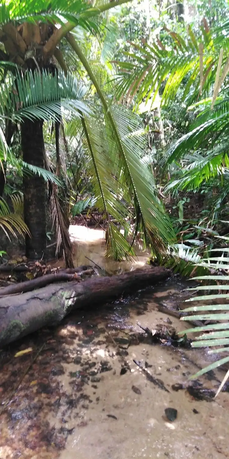 Second view of Homely land listing, Lot 213 Kelly Road, Ellinjaa QLD 4886