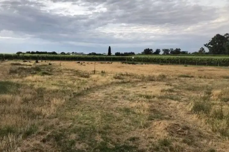 Third view of Homely land listing, 9260 Calder Highway, Irymple VIC 3498