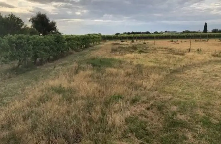 Sixth view of Homely land listing, 9260 Calder Highway, Irymple VIC 3498