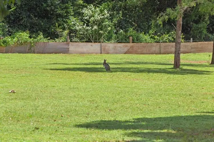 Second view of Homely rural property listing, 60 Bundy Road, Imbil QLD 4570