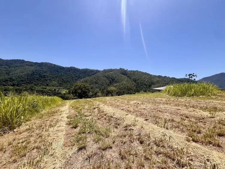 Second view of Homely land listing, 180 Catalano Access Road, Goldsborough QLD 4865