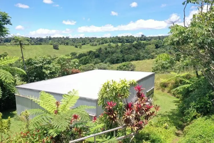 Second view of Homely rural property listing, 780 MIDDLEBROOK ROAD, Millaa Millaa QLD 4886