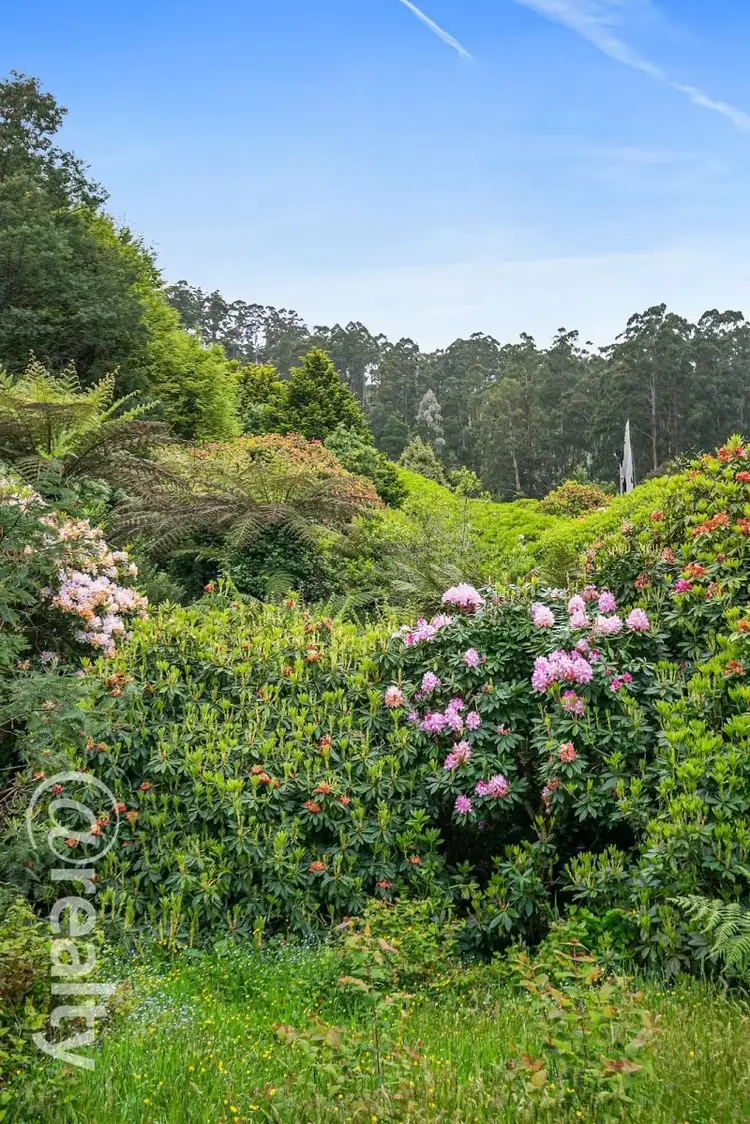 Seventh view of Homely house listing, 155 Olinda Creek Road, Kalorama VIC 3766
