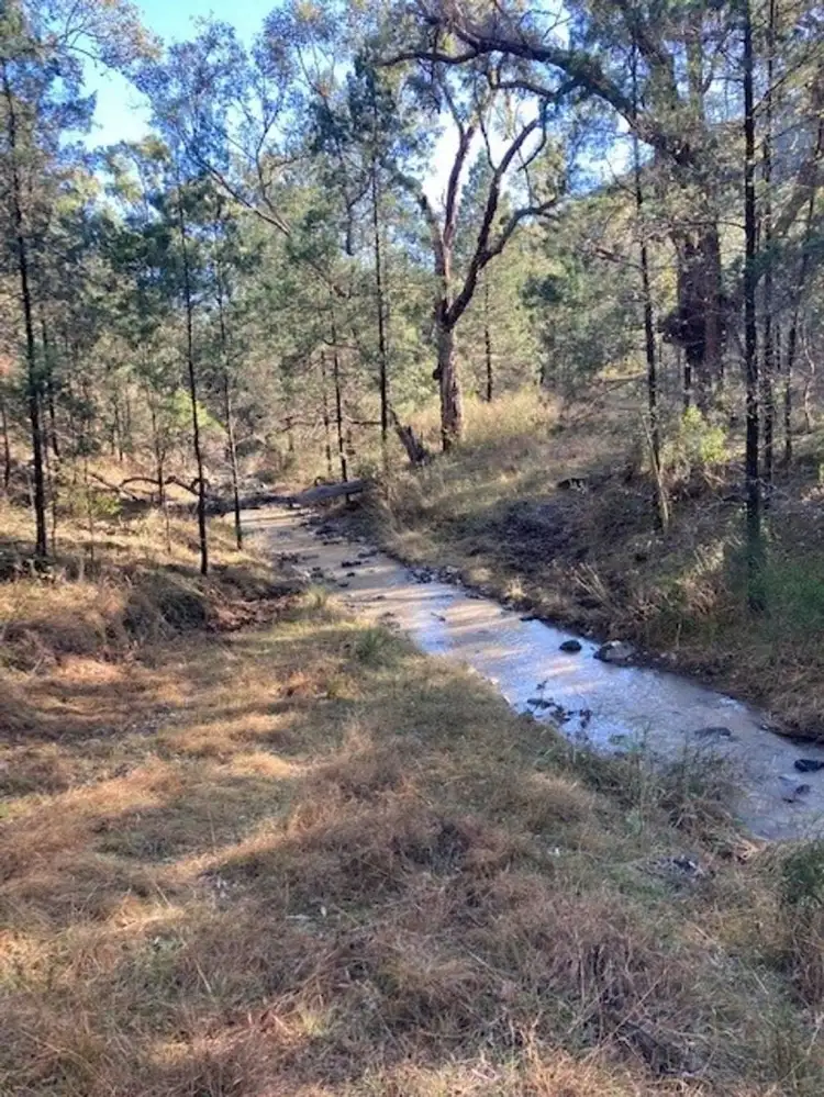 Second view of Homely rural property listing, 10 Mountain Creek Rd, Mole River NSW 2372