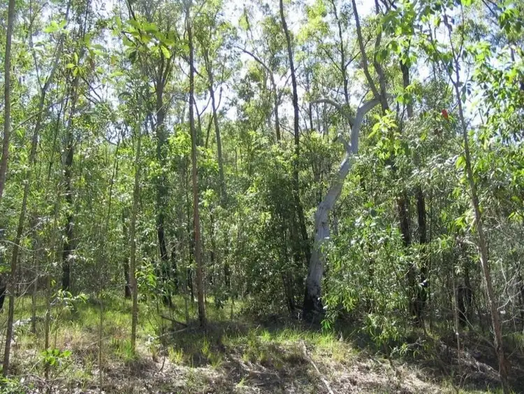 Sixth view of Homely rural property listing, 188 Doughboy Road, Gin Gin QLD 4671