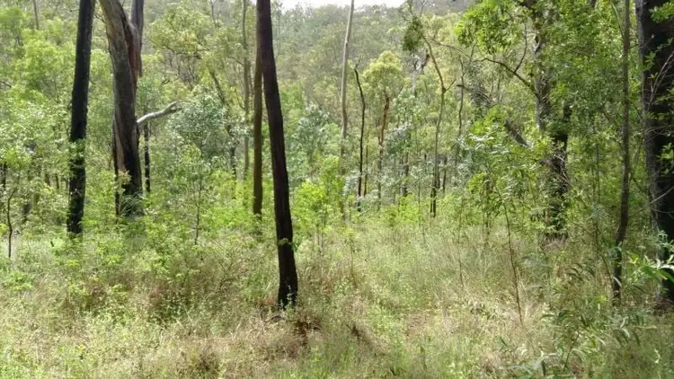 Seventh view of Homely rural property listing, 188 Doughboy Road, Gin Gin QLD 4671