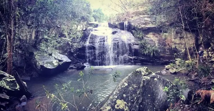 Second view of Homely rural property listing, Address available on request