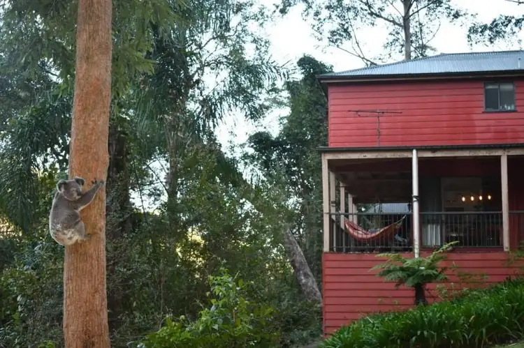 Fourth view of Homely rural property listing, Address available on request