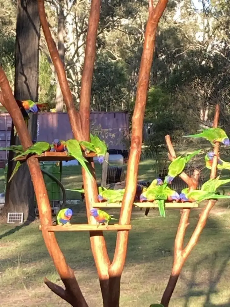 Sixth view of Homely rural property listing, 262 Nanango Brooklands Road, Nanango QLD 4615