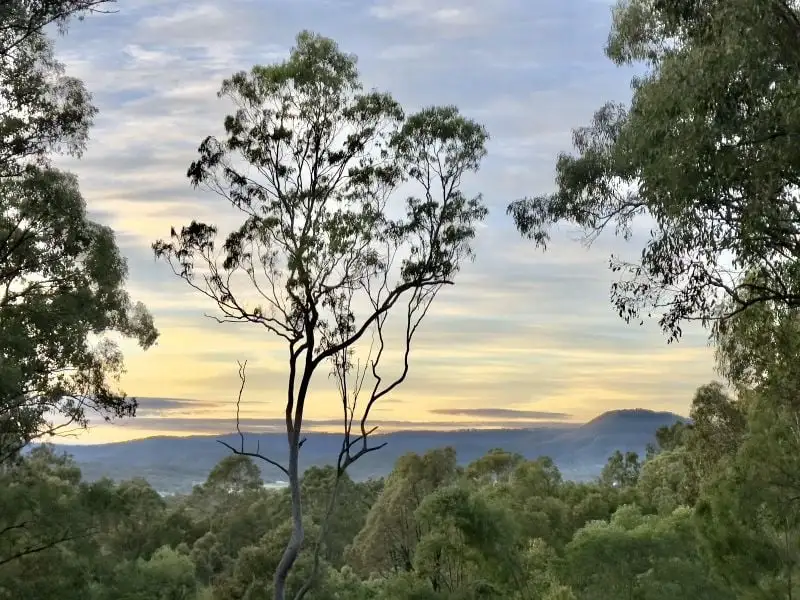 Main view of Homely rural property listing, 4470 Beaudesert Nerang Road, Beaudesert QLD 4285