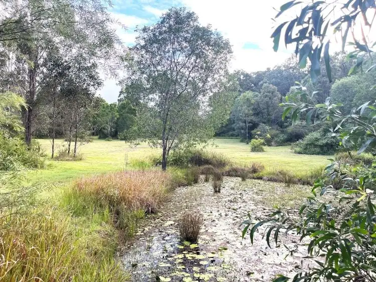 Second view of Homely rural property listing, 4470 Beaudesert Nerang Road, Beaudesert QLD 4285