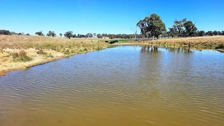 Fourth view of Homely rural property listing, 70 Sunset Hills Road, Neville NSW 2799